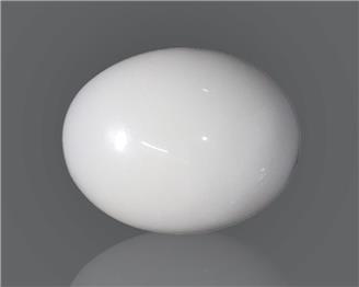 Natural White Coral 13.36 cts ( 49828 )